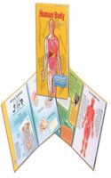 The Human Body Book