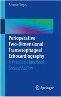 Perioperative Two-Dimensional Transesophageal Echocardiography