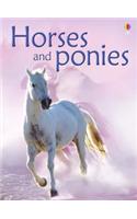 Horses and Ponies