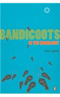 Bandicoots in the Moonlight