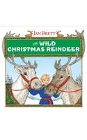 Wild Christmas Reindeer