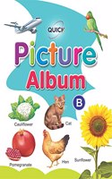 QUICK PICTURE ALBUM - B - Picture BOOK for Learning Simple Words and Phrases using pictures for 2-5 year old children