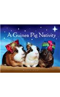 A Guinea Pig Nativity