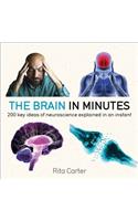 Brain in Minutes