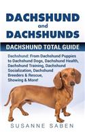 Dachshund And Dachshunds