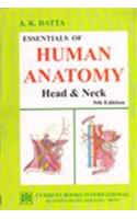 Essentials of Human Anatomy - Head and Neck