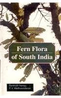 Fern Flora of South India