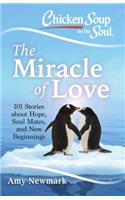 Chicken Soup for the Soul: The Miracle of Love