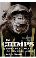 The Chimps of Fauna Sanctuary: A True Story of Resilience and Recovery