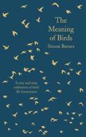 The Meaning of Birds