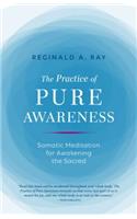 Practice of Pure Awareness