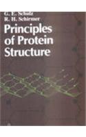 Principles of Protein Structure