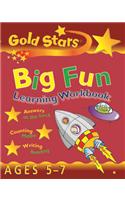 Gold Stars Big Fun Learning Workbook