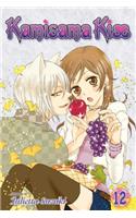 Kamisama Kiss, Vol. 12