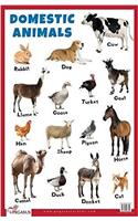 Domestic Animals Educational Chart