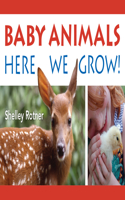 Baby Animals!