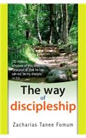 Way of Discipleship