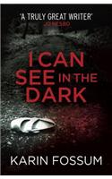 I Can See in the Dark