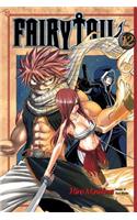 Fairy Tail 12