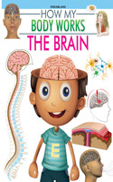 The Brain (How My Body Works)