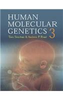 Human Molecular Genetics