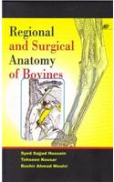 Regional and Surgical Anatomy of Bovines