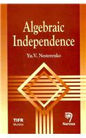 Algebraic Independence