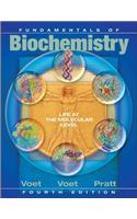 Fundamentals of Biochemistry