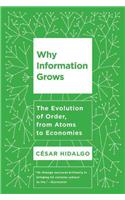 Why Information Grows