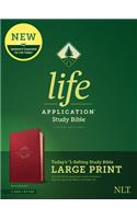 NLT Life Application Study Bible, Third Edition, Large Print (Red Letter, Leatherlike, Berry)