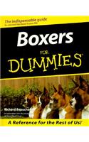 Boxers for Dummies