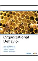 Organizational Behavior