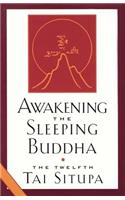 Awakening the Sleeping Buddha