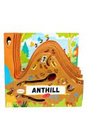 Discovering the Active World of the Anthill