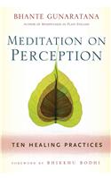 Meditation on Perception