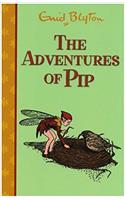 The Adventures of Pip (Rewards)