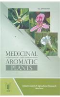 Medicinal And Aromatic Plants