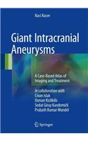 Giant Intracranial Aneurysms