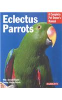 Eclectus Parrots