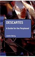 Descartes: A Guide for the Perplexed