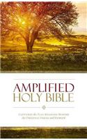 Amplified Holy Bible, Hardcover