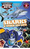 Transformers Rescue Bots: Training Academy: Sharks & Other Sea Life!