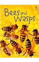 Bees and Wasps