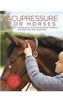 Acupressure for Horses