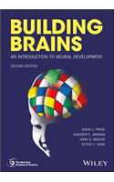 Building Brains