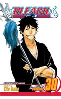 Bleach, Vol. 30