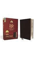 Niv, Life Application Study Bible, Third Edition, Large Print, Bonded Leather, Black, Red Letter Edition