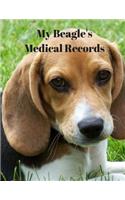 My Beagle's Medical Records