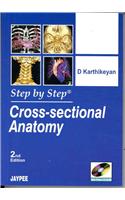 Step by Step: Cross-Sectional Anatomy