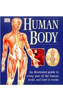 Human Body